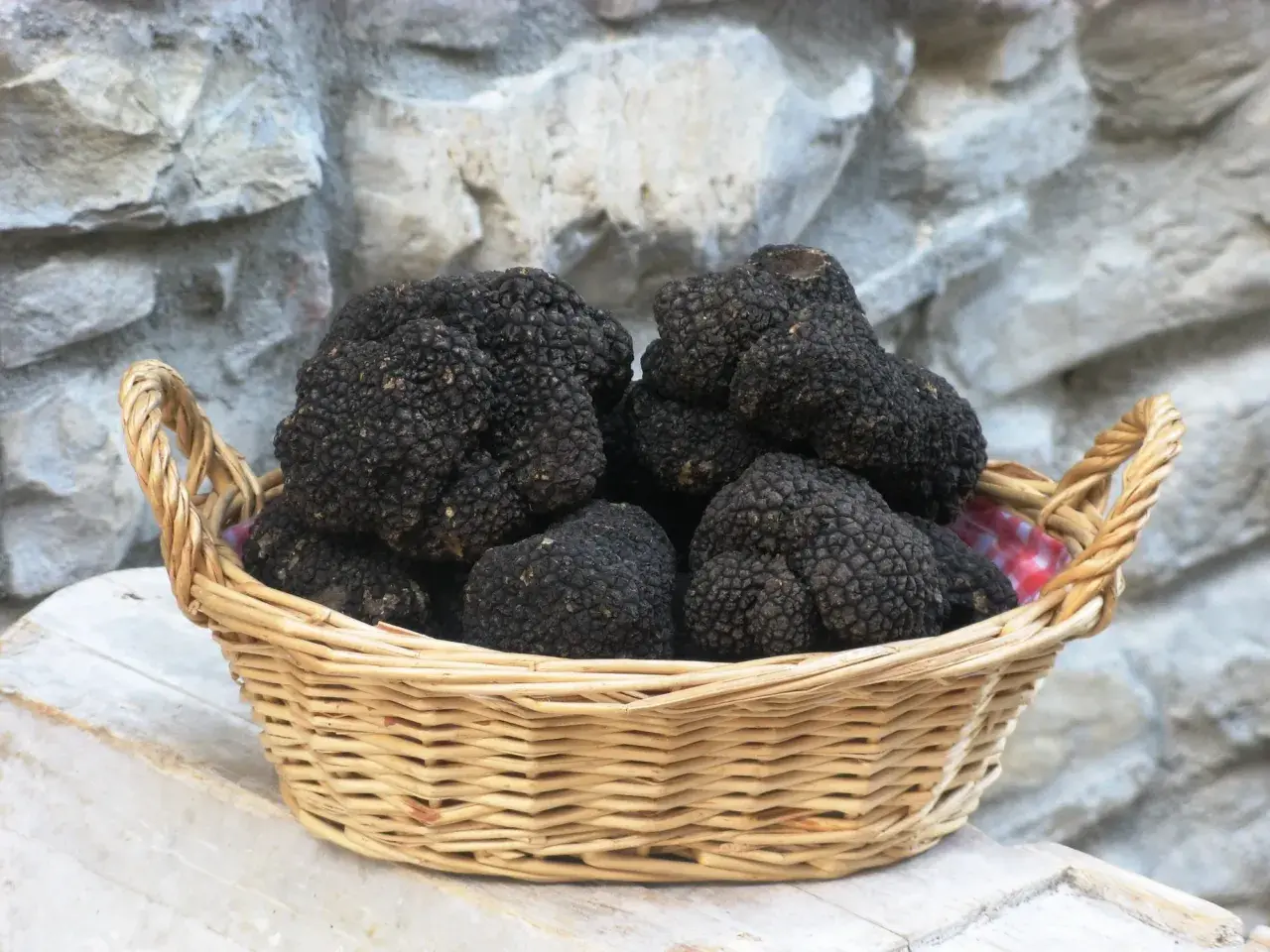 Cesto di vimini colmo di tartufo nero, un tesoro delle Marche, su un tavolo di legno grezzo.