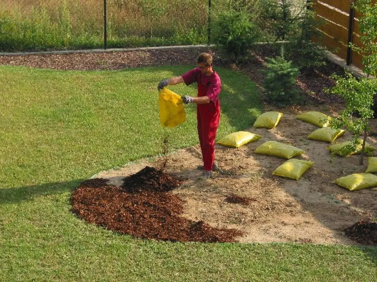 Mężczyzna wysypuje korę z lasu, sprawdzając, czy nadaje się do ogrodu. W tle worki z ziemią.