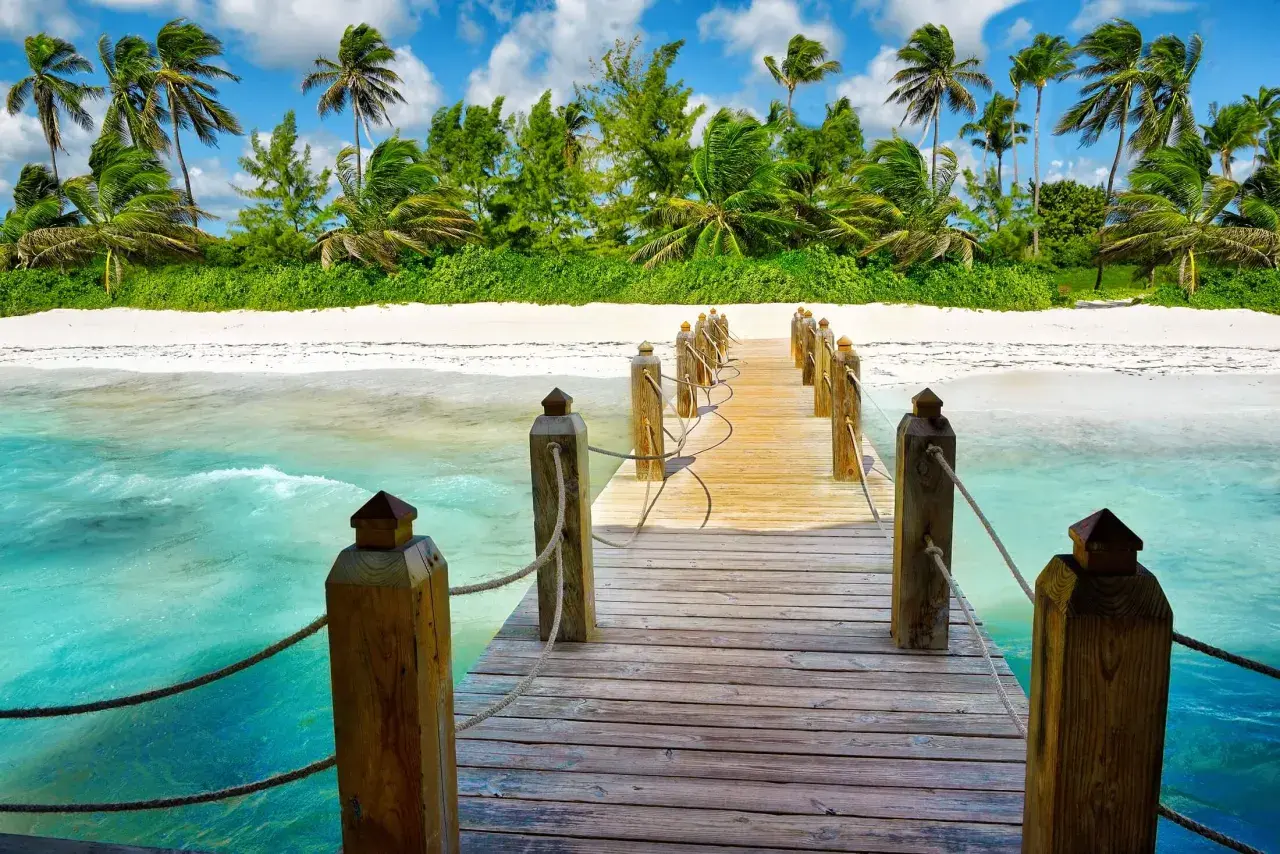 Drewniany pomost prowadzi do rajskiej plaży z palmami. Idealne miejsce na odkrywanie atrakcji Punta Cana.