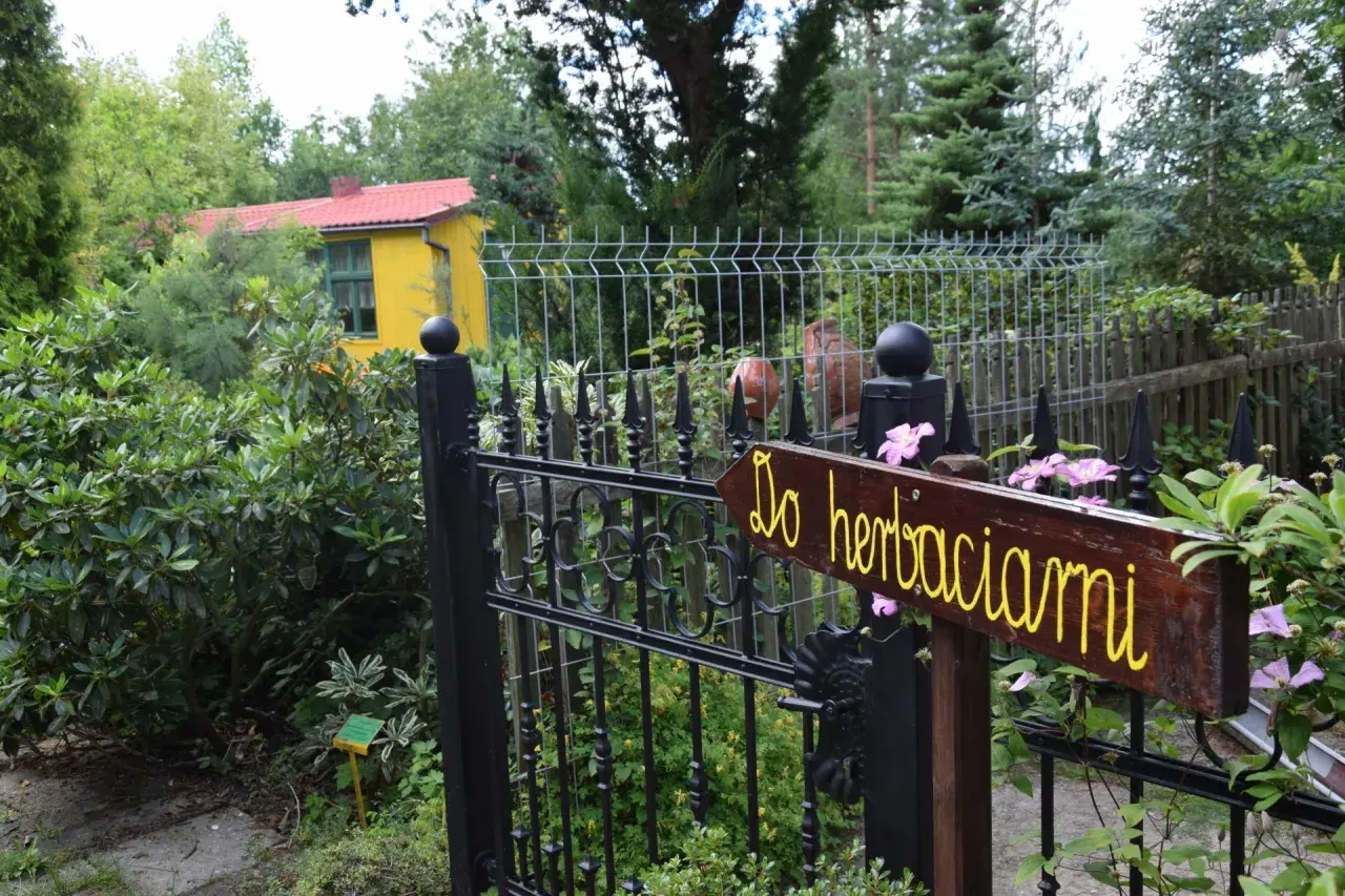 Witaj w Gołubieńskim Ogrodzie Botanicznym! Drewniana tabliczka "Do herbaciarni" zaprasza do ukrytego w zieleni zakątka.