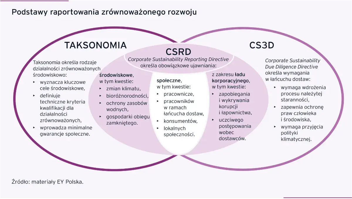 Raport zrównoważonego rozwoju: Kluczowe informacje i przykłady firm