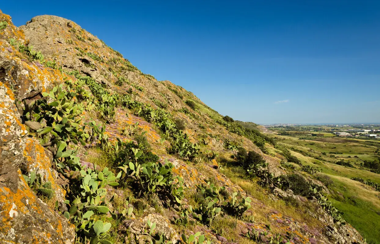Pendii rocciosi del monte Zara ricoperti di fichi d'India e fiori viola, con un paesaggio verde e un cielo azzurro sullo sfondo.