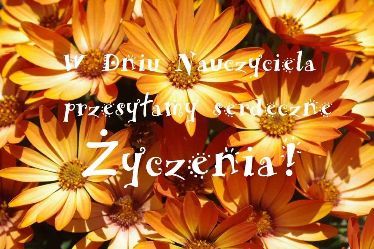 Zbliżenie na pomarańczowe kwiaty z białym napisem "W Dniu Nauczyciela przesyłamy serdeczne życzenia!".
