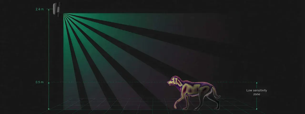 Sensor de alarma para mascotas. Un perro camina en un área de baja sensibilidad, evitando la detección.