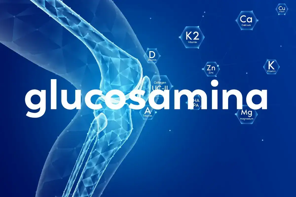 Ilustración de una rodilla con la palabra "glucosamina" y elementos como vitaminas y minerales. Explora los glucosamina beneficios y desventajas.