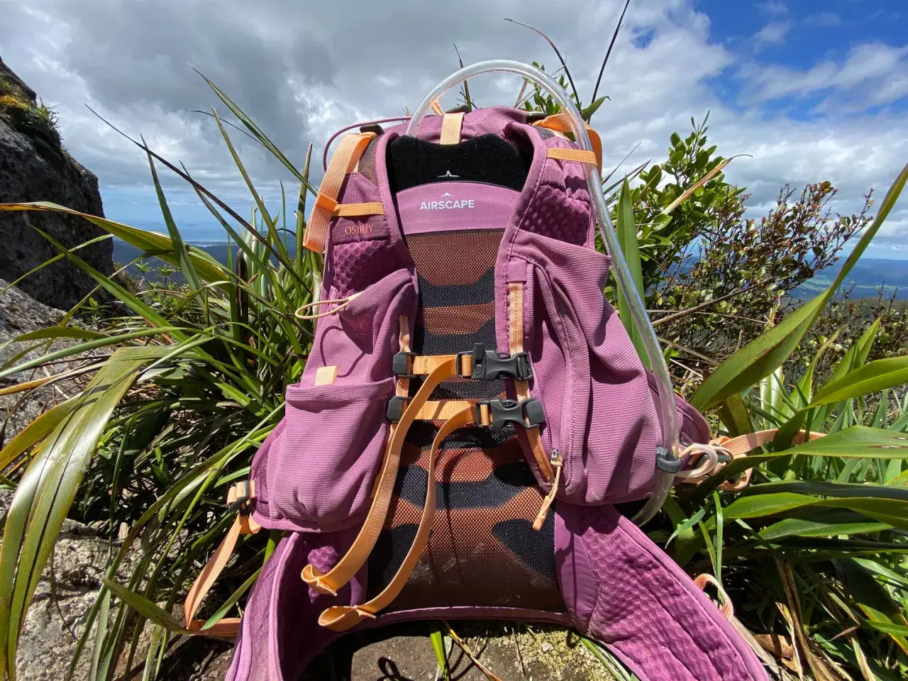 Firma Osprey to synonim jakości w outdoorze. Ten fioletowy plecak z systemem Airscape gotowy na górską przygodę.