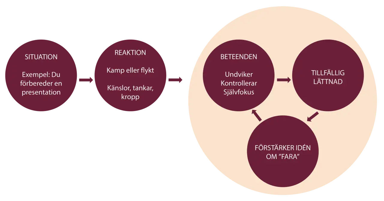 Diagram visar hur undvikande beteende kan uppstå vid en situation som att förbereda en presentation, vilket leder till tillfällig lättnad men förstärker idén om fara.