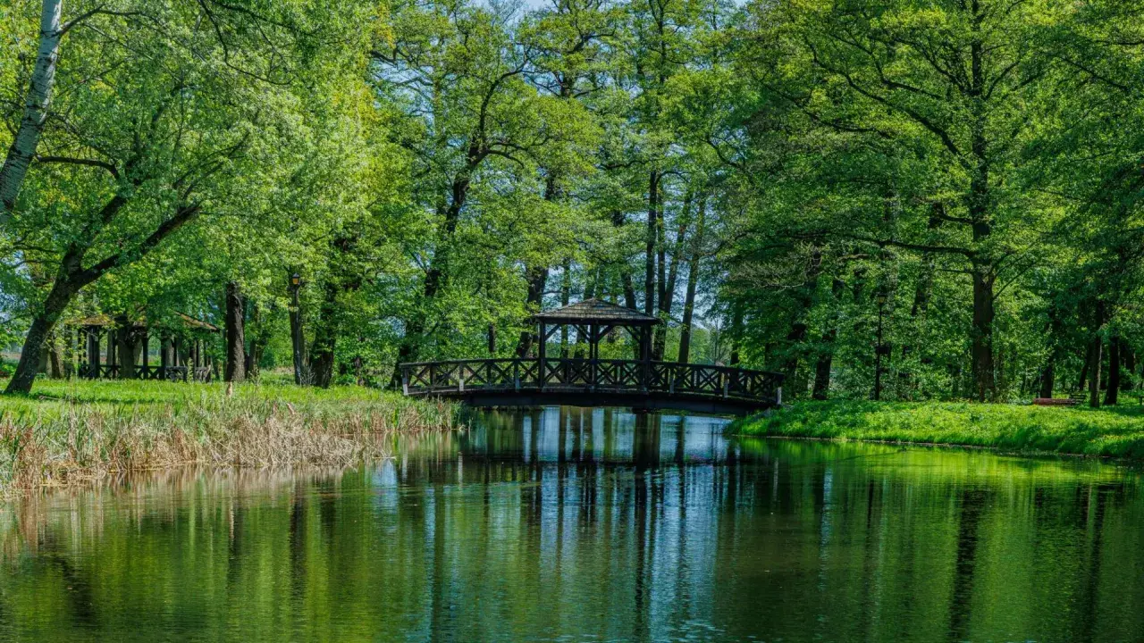 Mostek z altaną nad wodą w parku w Pleszewie, Wielkopolskie.