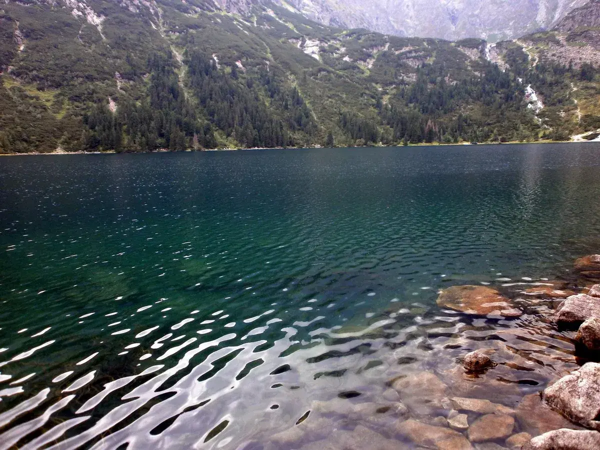 Górskie jezioro Morskie Oko, otoczone lasem i skalistymi zboczami, lśni w słońcu. Na jakiej wysokości jest Morskie Oko? Około 1395 m n.p.m.