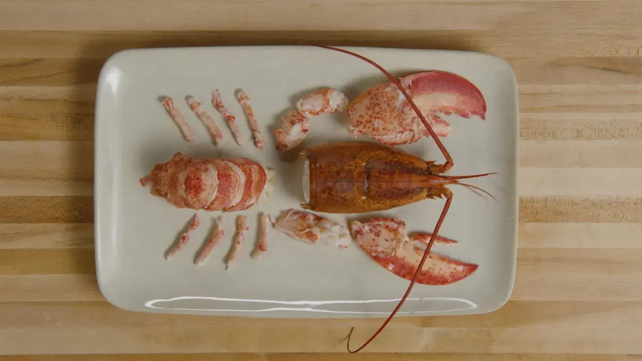 Homard décortiqué, prêt à être cuisiné. La partie non comestible, la carapace, est séparée des morceaux de chair.