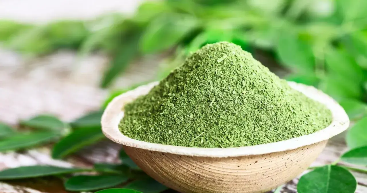 Zielony proszek moringa w miseczce, otoczony liśćmi. To naturalne superfood, które warto poznać!