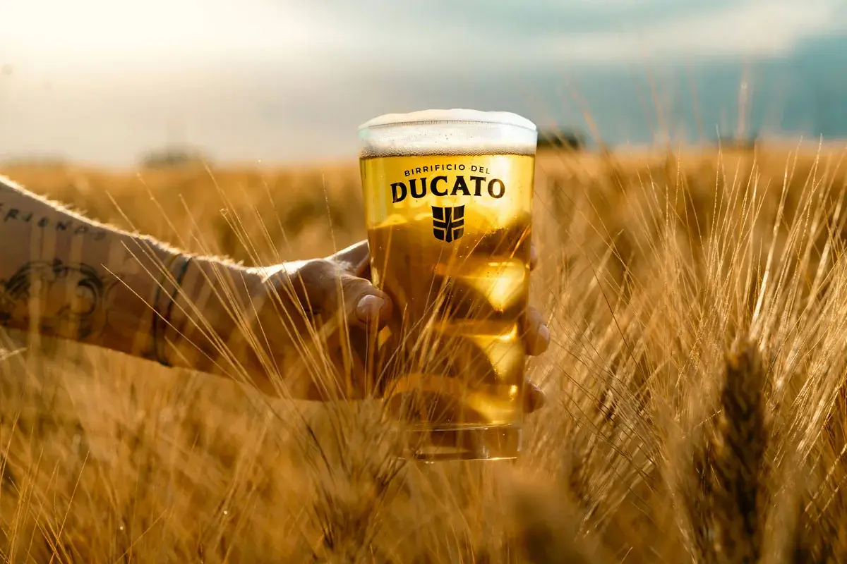 Mano con tatuaggio tiene bicchiere di birra bionda, con schiuma abbondante, in un campo di grano dorato al tramonto. La miglior birra, pura essenza.