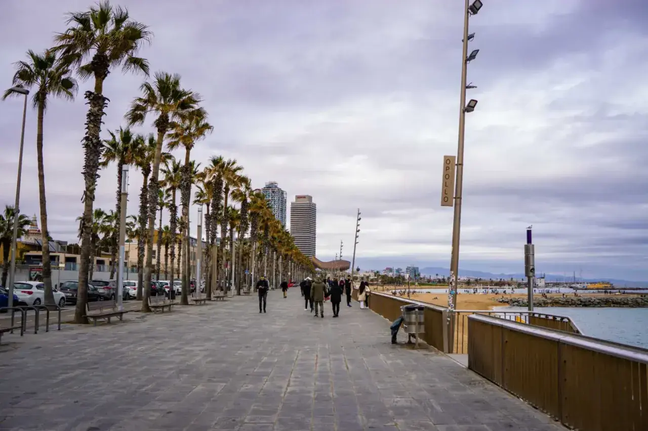 Spacerem po Barcelonie w styczniu. Czy warto? Palmy, plaża i spokojna promenada zachęcają do spacerów.