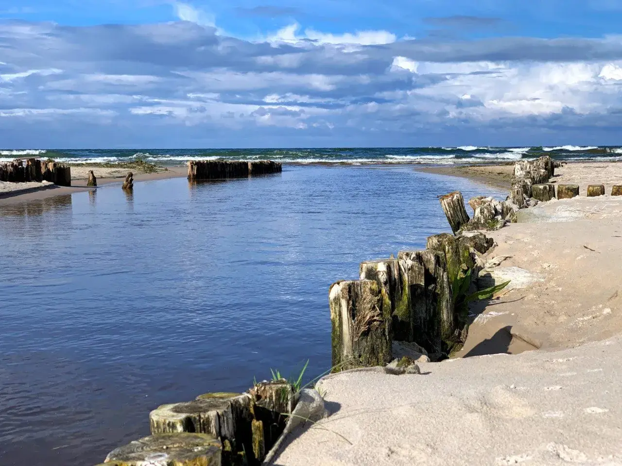 Spokojna plaża z drewnianymi słupkami i wodą, idealne miejsce na jednodniowe wycieczki z Gdańska.