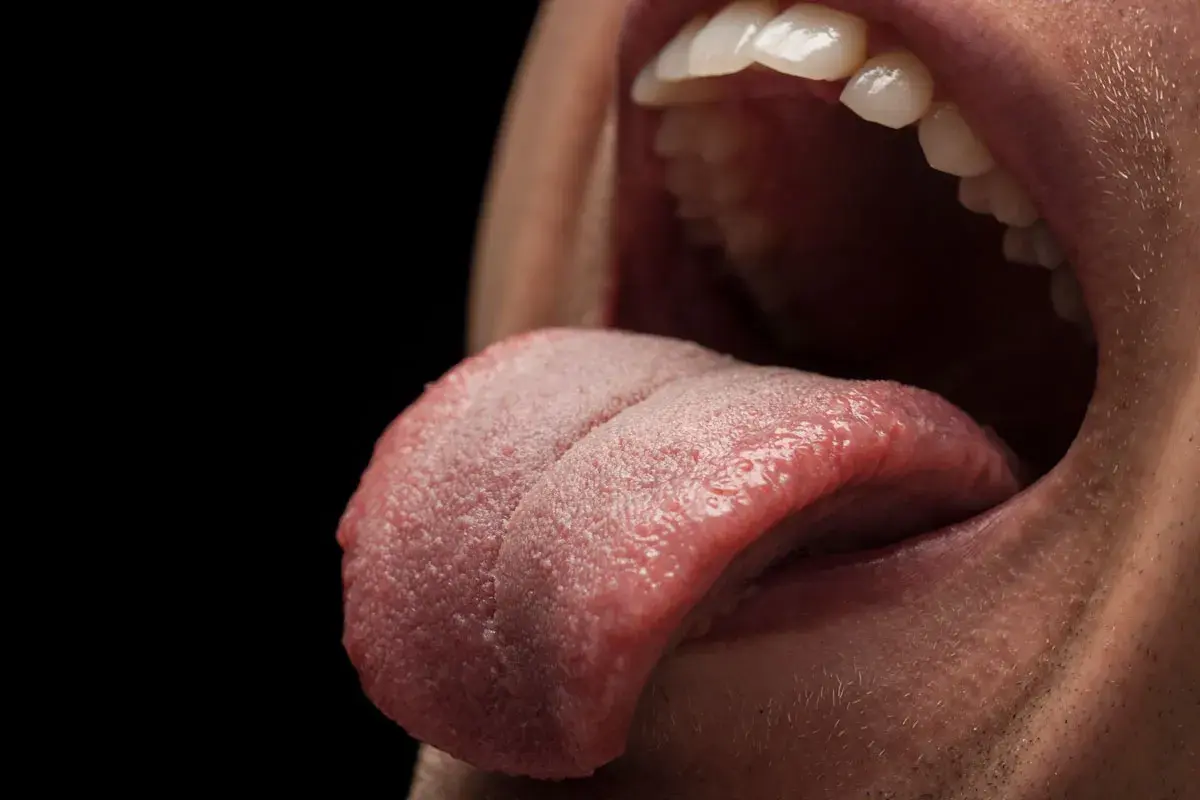 Bocca aperta con lingua che sporge, mostrando la sua superficie ruvida e la lingua strana ai lati. Denti bianchi visibili.
