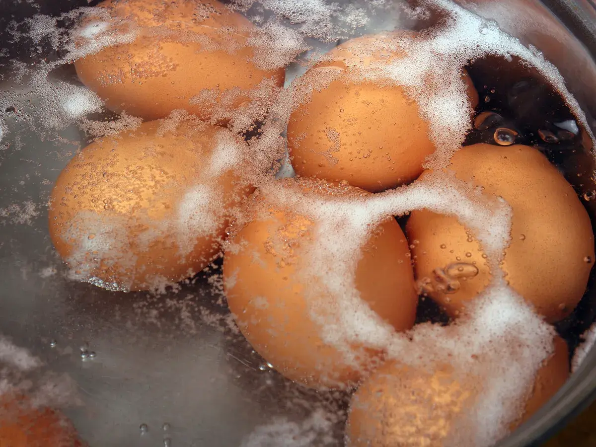 Des œufs bruns bouillent dans une casserole d'eau froide. Le temps de cuisson d'un œuf dur est crucial pour une texture parfaite.