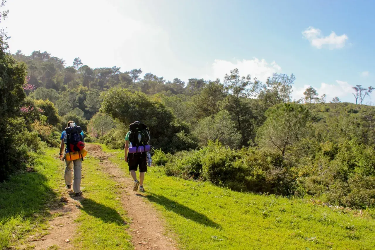 Zwei Wanderer mit Rucksäcken auf einem Feldweg, bereit für einen dreitägigen rundwanderweg durch eine grüne, hügelige Landschaft.
