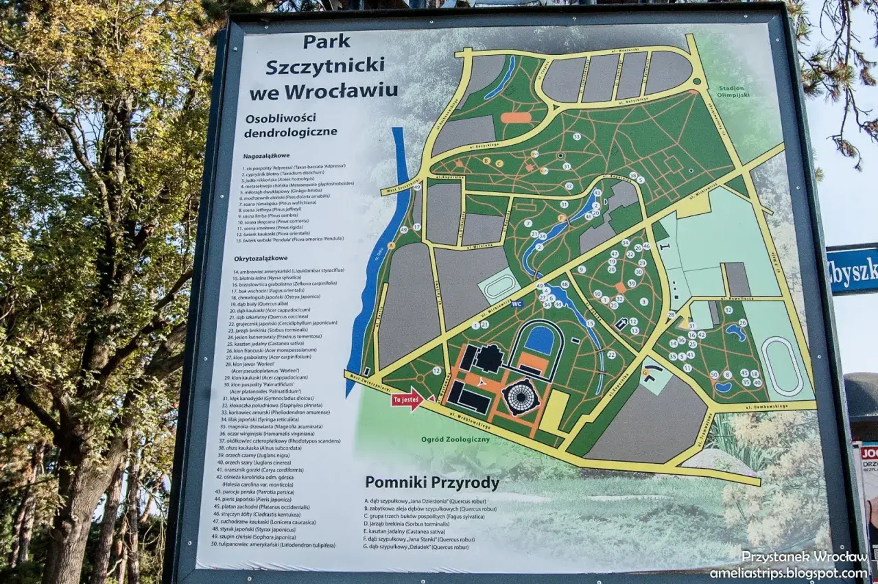 Mapa Parku Szczytnickiego we Wrocławiu z zaznaczonymi osobliwościami dendrologicznymi i pomnikami przyrody.