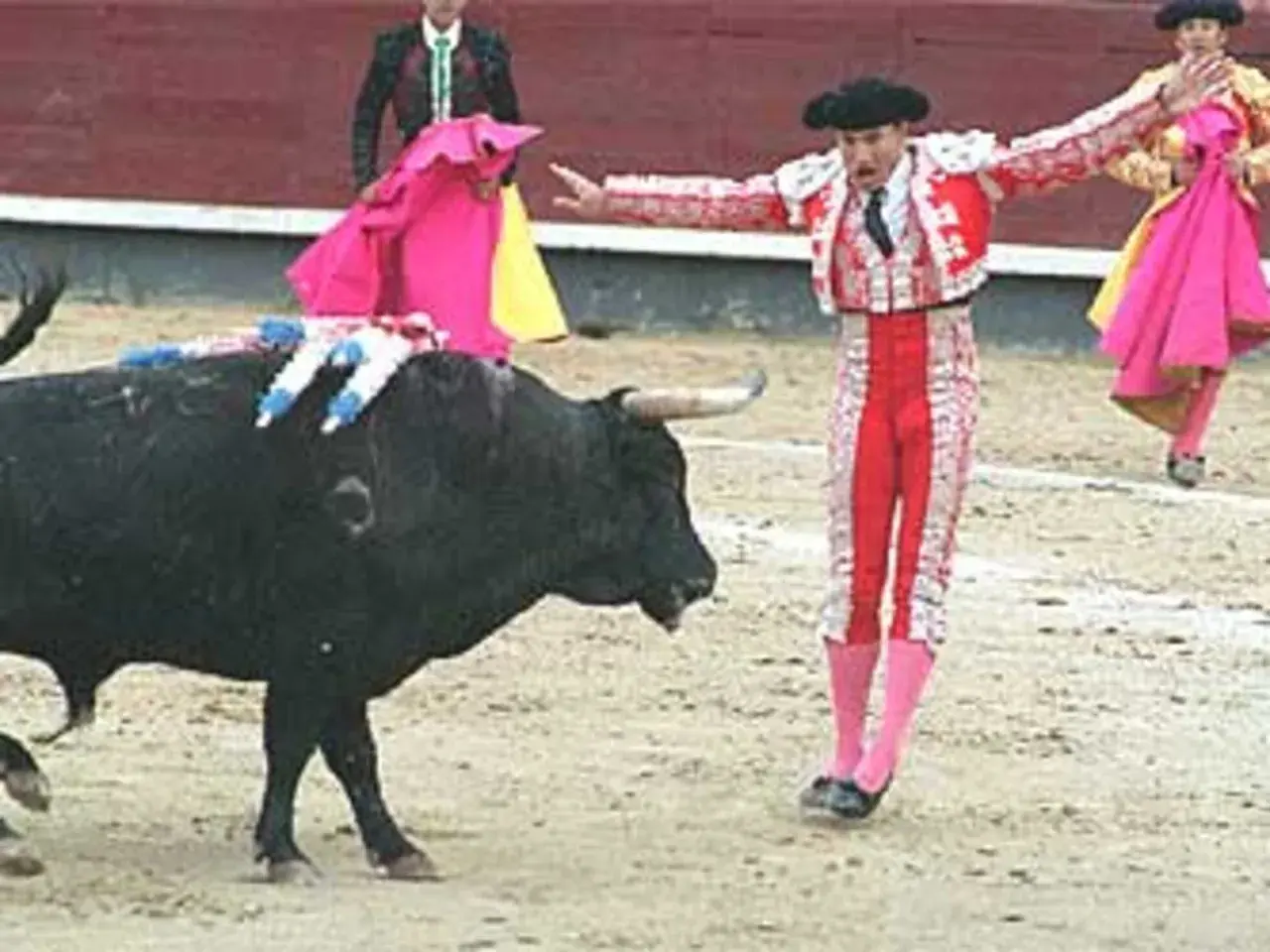 Un torero en traje de luces se enfrenta a un toro con banderillas en el lomo, durante el tercio de banderillas.
