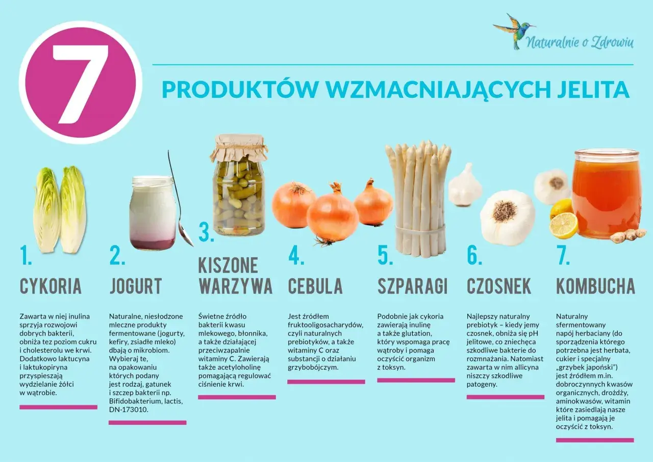 Cykoria, jogurt, kiszone warzywa, cebula, szparagi, czosnek i kombucha to produkty, które warto jeść przy biegunce, wspierając jelita.