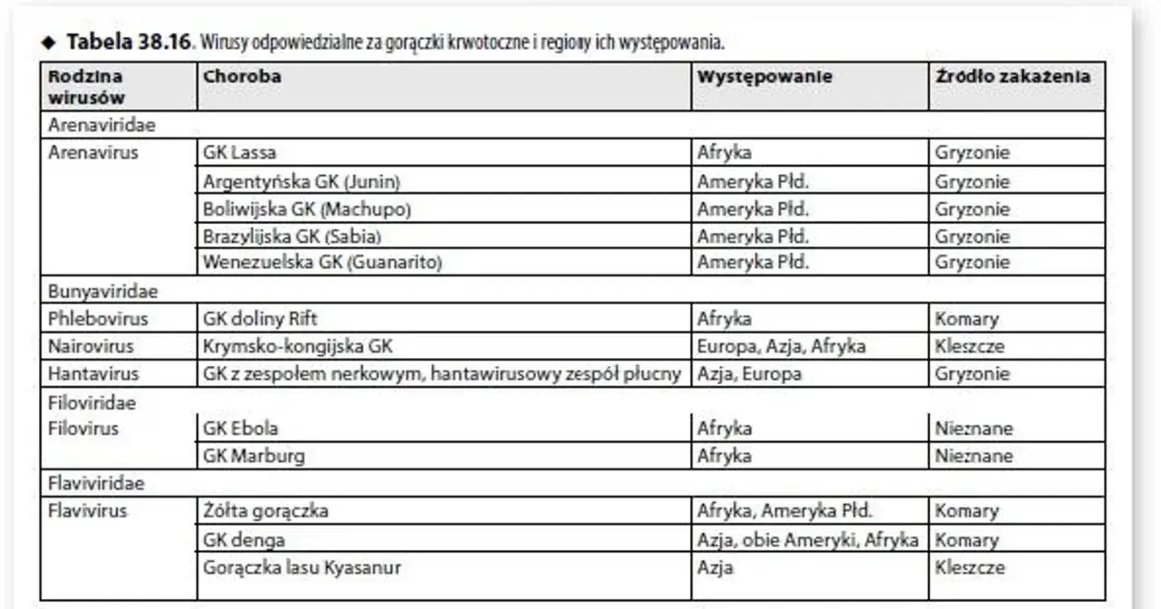 Tabela przedstawia wirusy gorączek krwotocznych, choroby, występowanie i źródła zakażeń. Wirus denga występuje w Azji, obu Amerykach i Afryce, a przenoszą go komary.