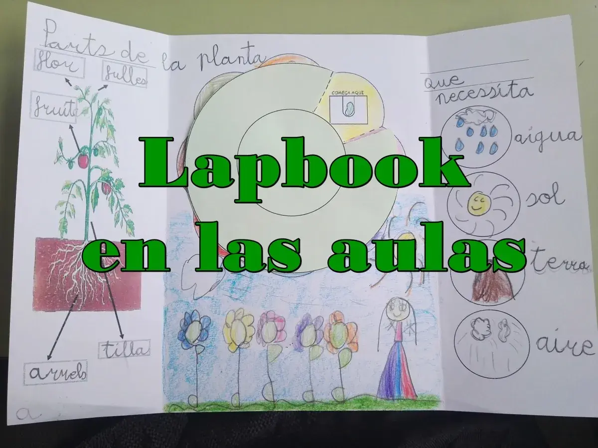 Un lapbook sobre las partes de la planta y lo que necesita. Muestra un dibujo de una planta, flores y sol, agua, tierra y aire.