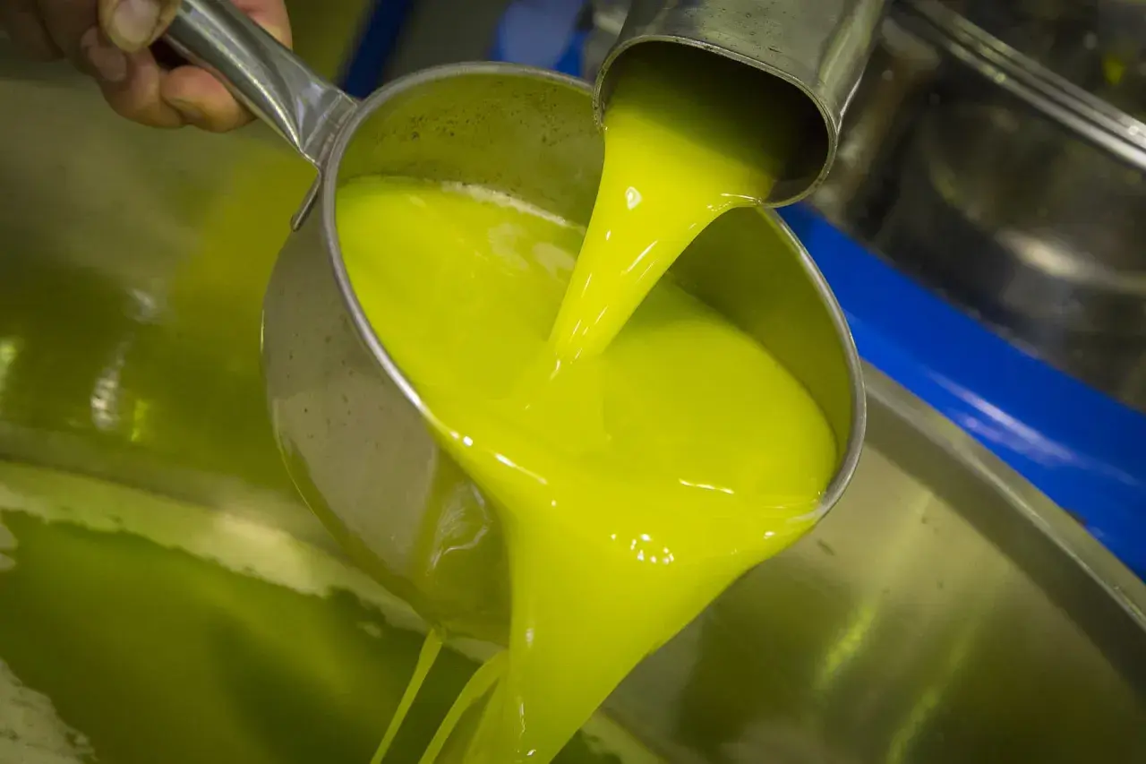 Un mestolo versa un liquido verde brillante, l'olio novello, in una vasca metallica.