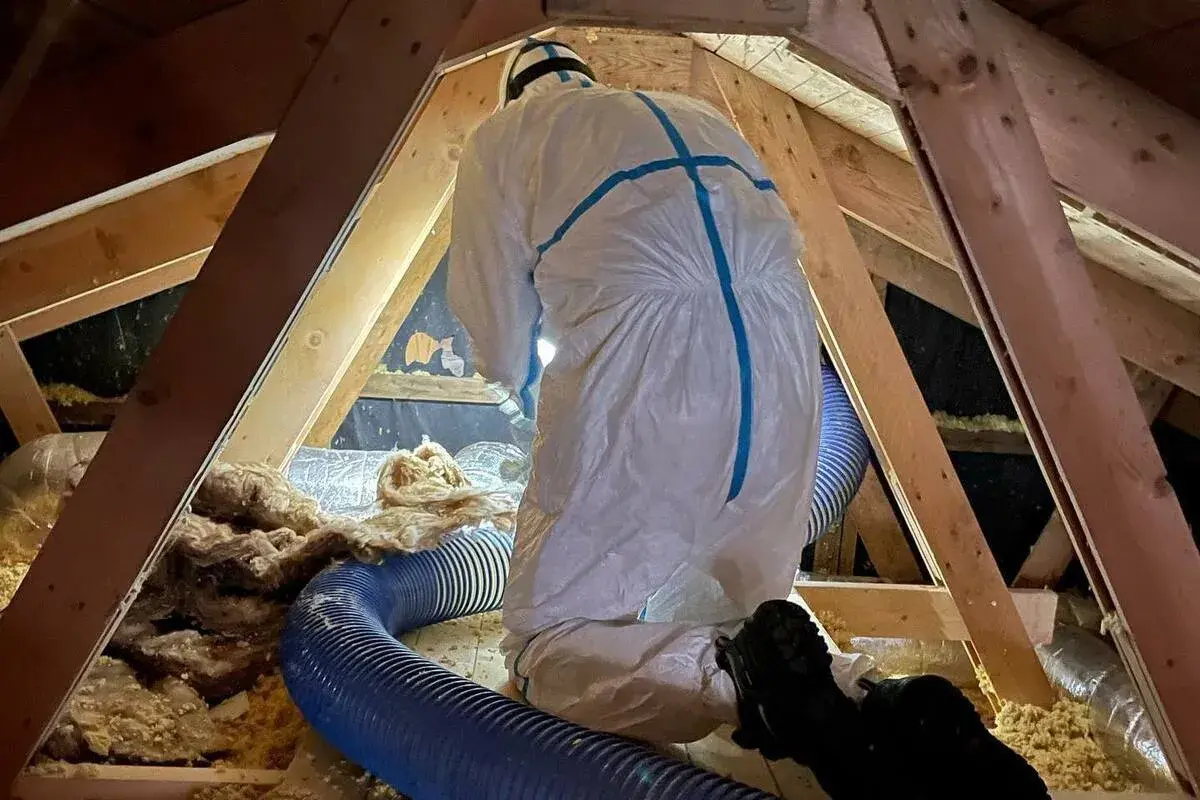 Person i skyddsdräkt installerar isolering på en vind med blå slang. Bra isolerab recensioner är viktiga för energieffektivitet.