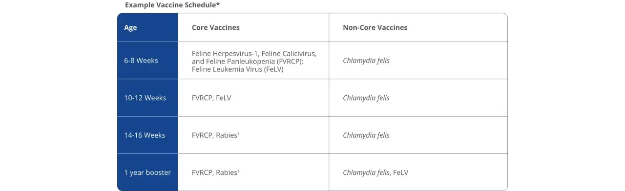 Table showing an example vaccine schedule for cats, detailing core vaccines like FVRCP and FeLV at different ages, from kittens to one-year boosters.