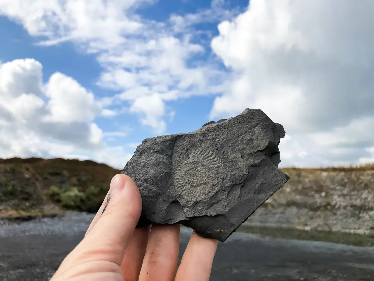 Ein Fossil, gefunden im Schiefersteinbruch Kromer, wird gegen einen dramatischen Himmel gehalten.