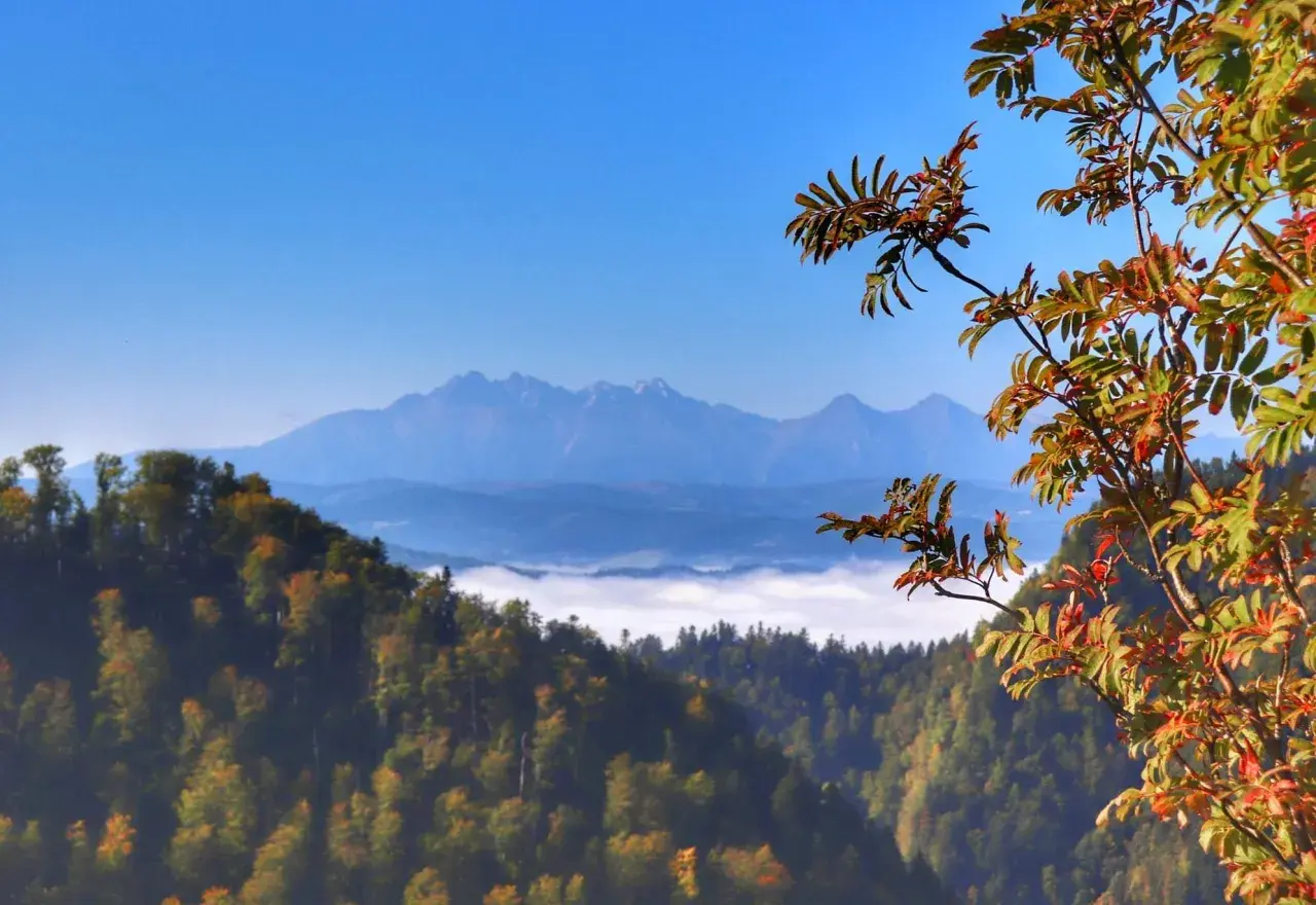 Jesienny widok z sokolica szlak na Tatry. Mgły unoszą się w dolinach, a drzewa mienią się kolorami.