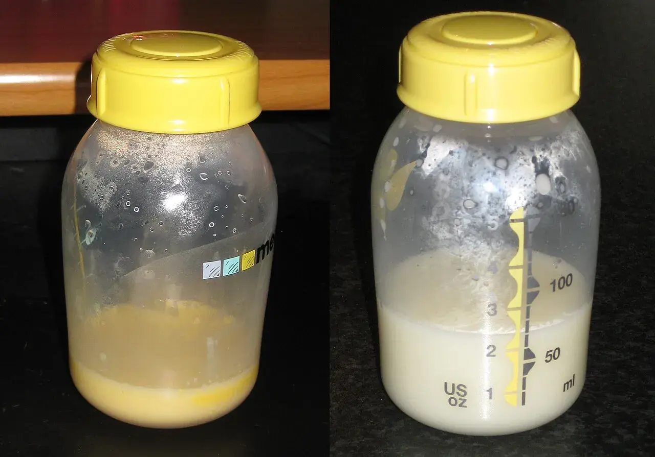 Zwei Flaschen mit Muttermilch. Links ist die gelbliche Flüssigkeit, die zeigt, was ist das: Kolostrum. Rechts ist reifere Milch.