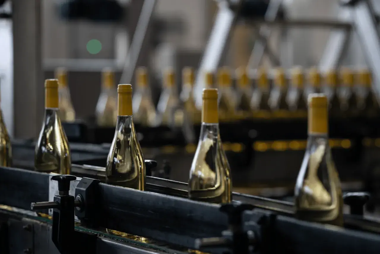 Bottiglie di vino bianco imbottigliato all'origine su un nastro trasportatore in una cantina.
