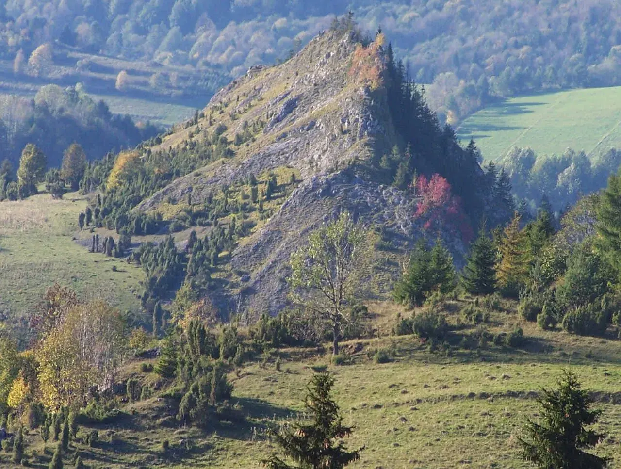 Rezerwat Biała Woda (Pieniny): Przewodnik po atrakcjach i planowaniu