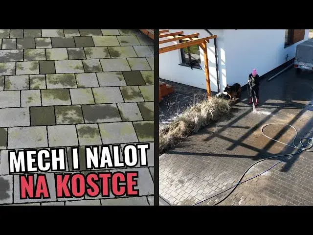 Skuteczne sposoby na usunięcie zielonego nalotu z płotu bez chemii
