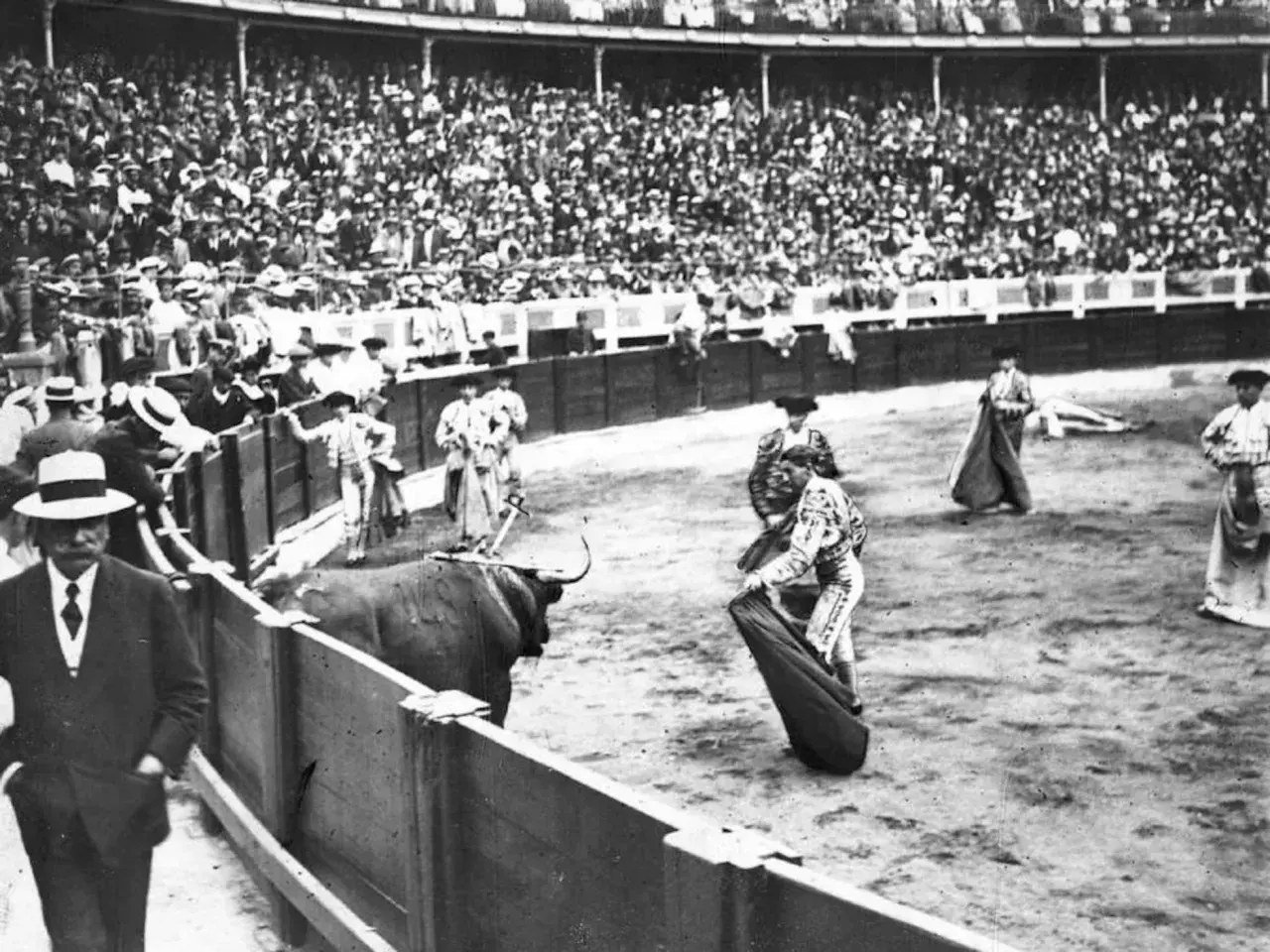 El toro que mató a Joselito el Gallo en la plaza, con público y toreros.
