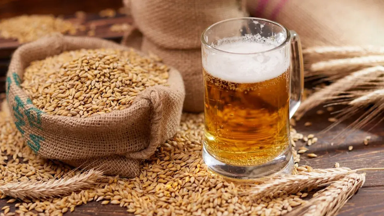 Boccali di birra dorata e sacchi di malto d'orzo, ingredienti essenziali per decidere se la birra è meglio alta o bassa fermentazione.