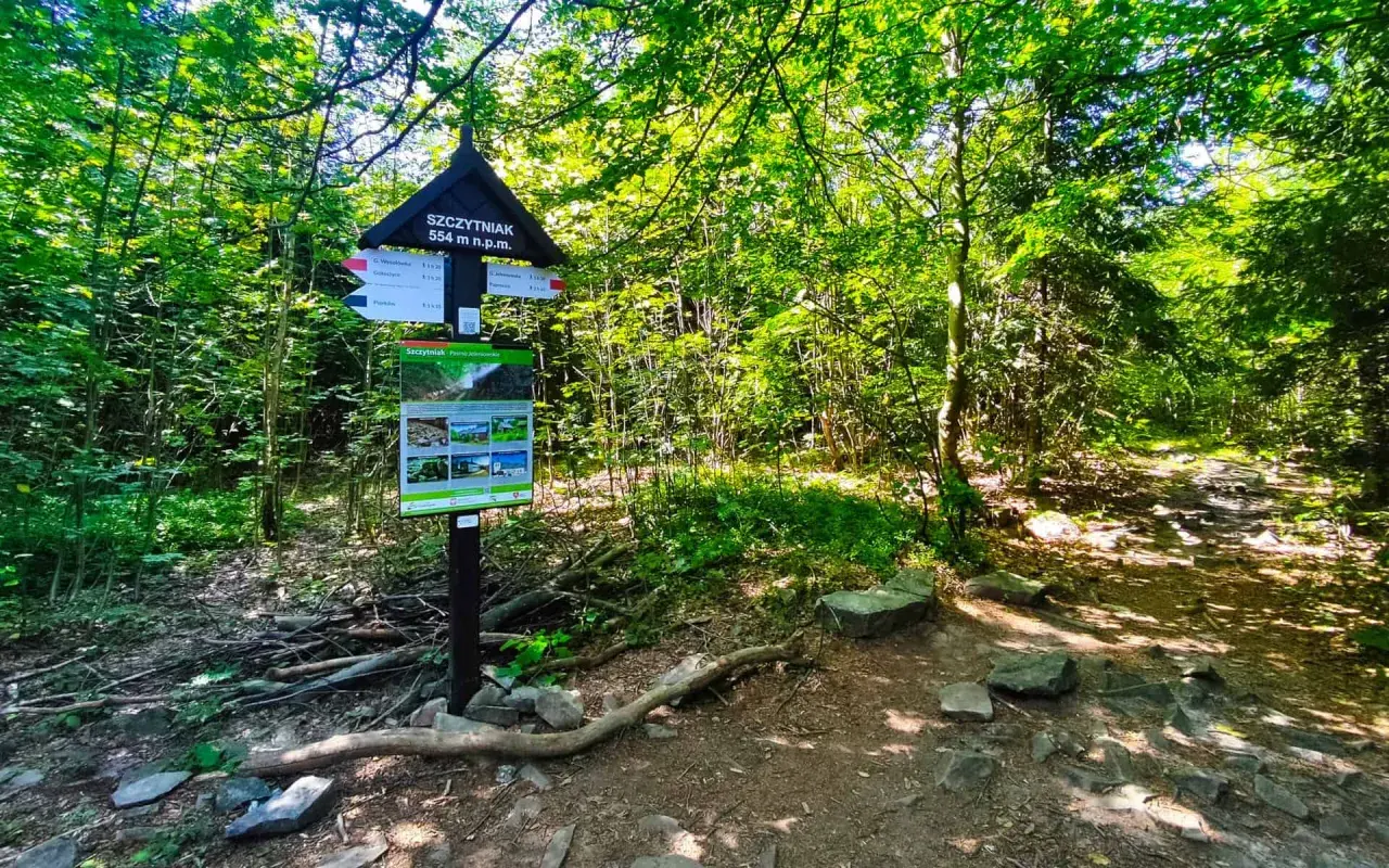 Szczytniak 554 m n.p.m. w Górach Świętokrzyskich. Tablica informacyjna i szlak w lesie.