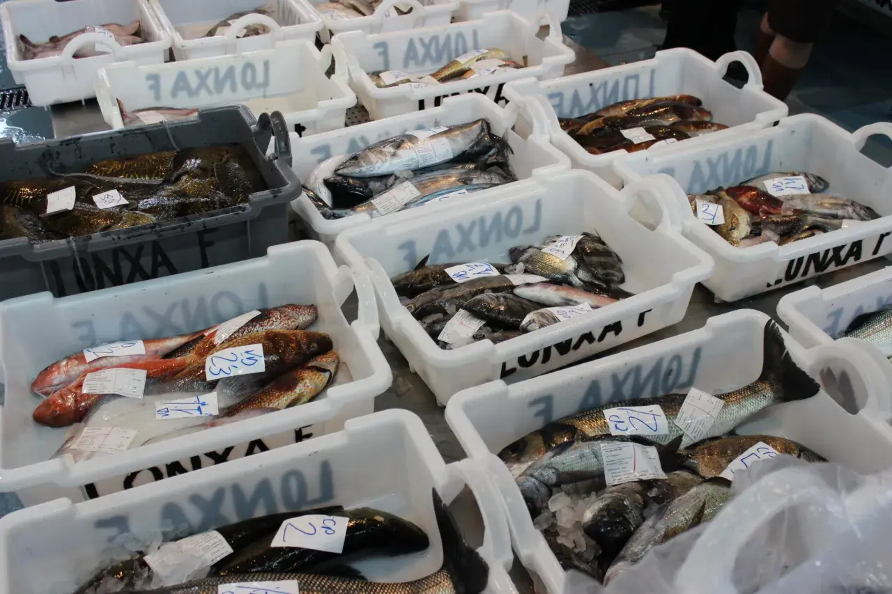 Variedad de pescados frescos en cajas, listos para la venta en un mercado de artes de pesca en Galicia.