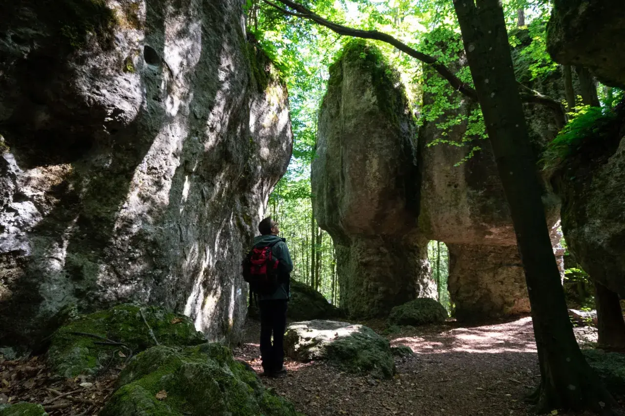 Ein Wanderer steht in einer **steinernen Stadt** aus Felsformationen, umgeben von üppigem Grün und Sonnenlicht.