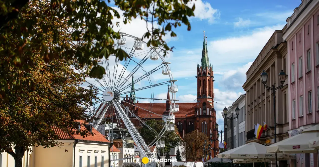 Ile lat żyje koń? Poznaj fakty i sekrety długowieczności