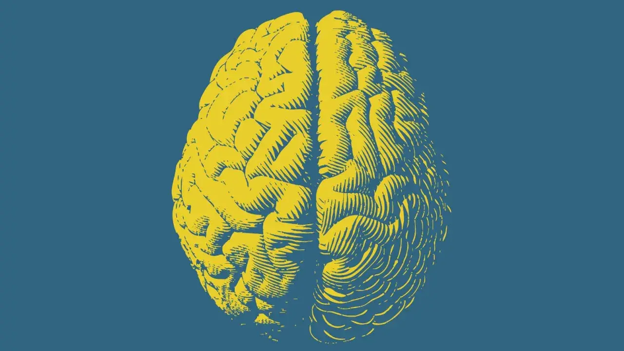 Cervello giallo stilizzato su sfondo blu. Un'immagine che evoca la complessità del pensiero, forse per esplorare il parafilia significato.
