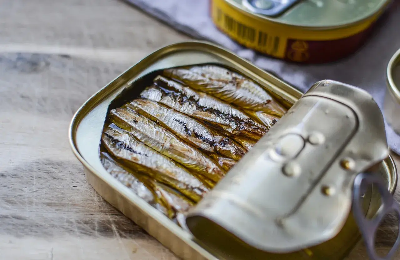 Sardines à l'huile dans leur boîte ouverte, prêtes à être dégustées. Un aperçu pour savoir comment faire des sardines à l'huile.