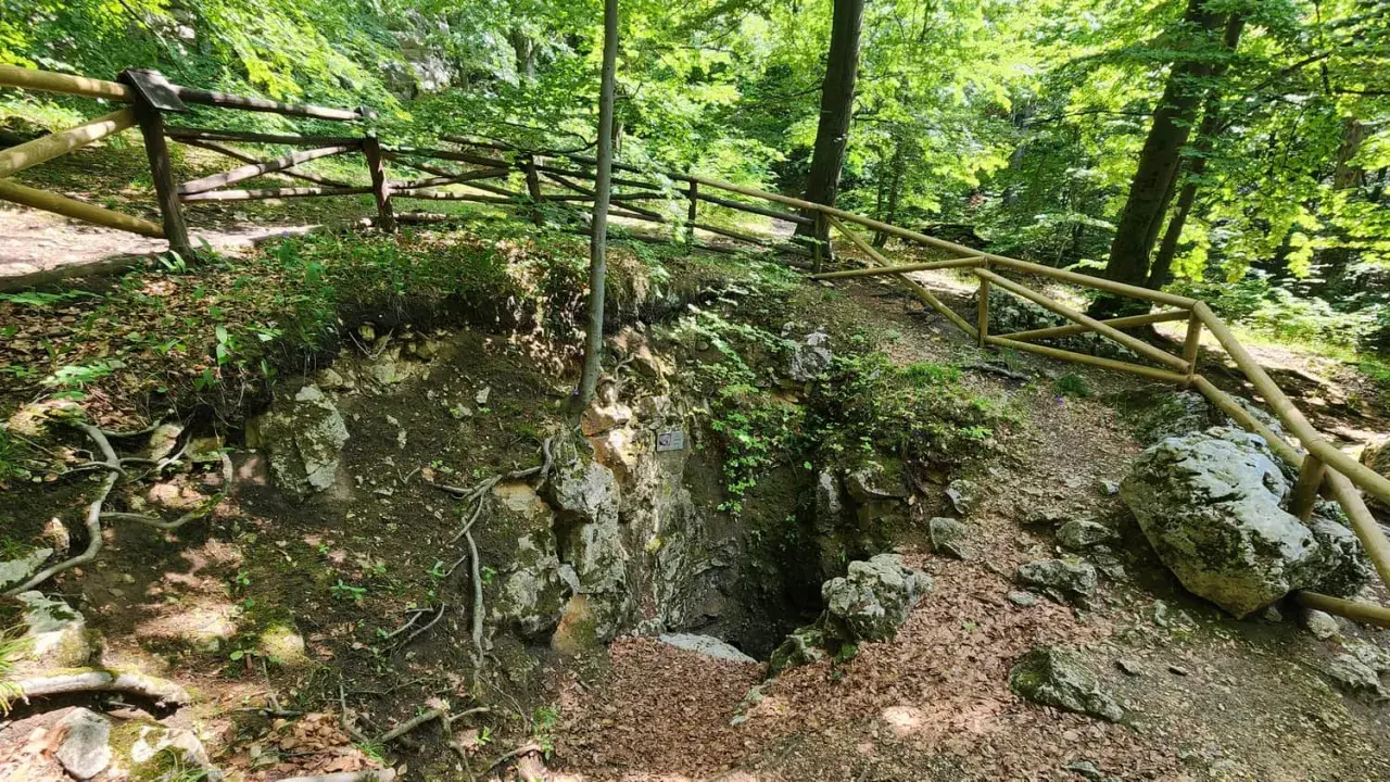 Wejście do jaskini w rezerwat sokole góry. Drewniane ogrodzenie chroni ścieżkę wśród zieleni i skał.