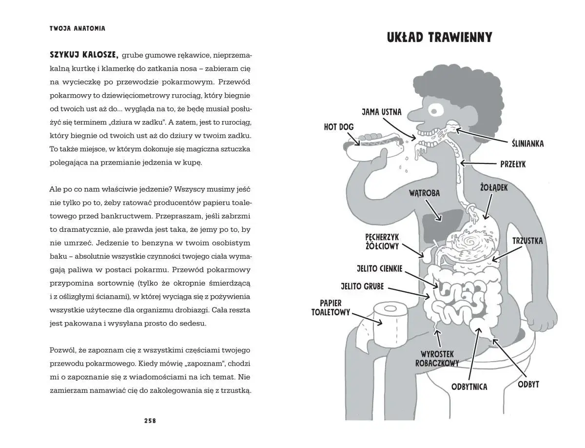 Ilustracja z książki Adama Kaya przedstawia układ trawienny człowieka, od jamy ustnej po odbyt, z zabawnymi opisami.