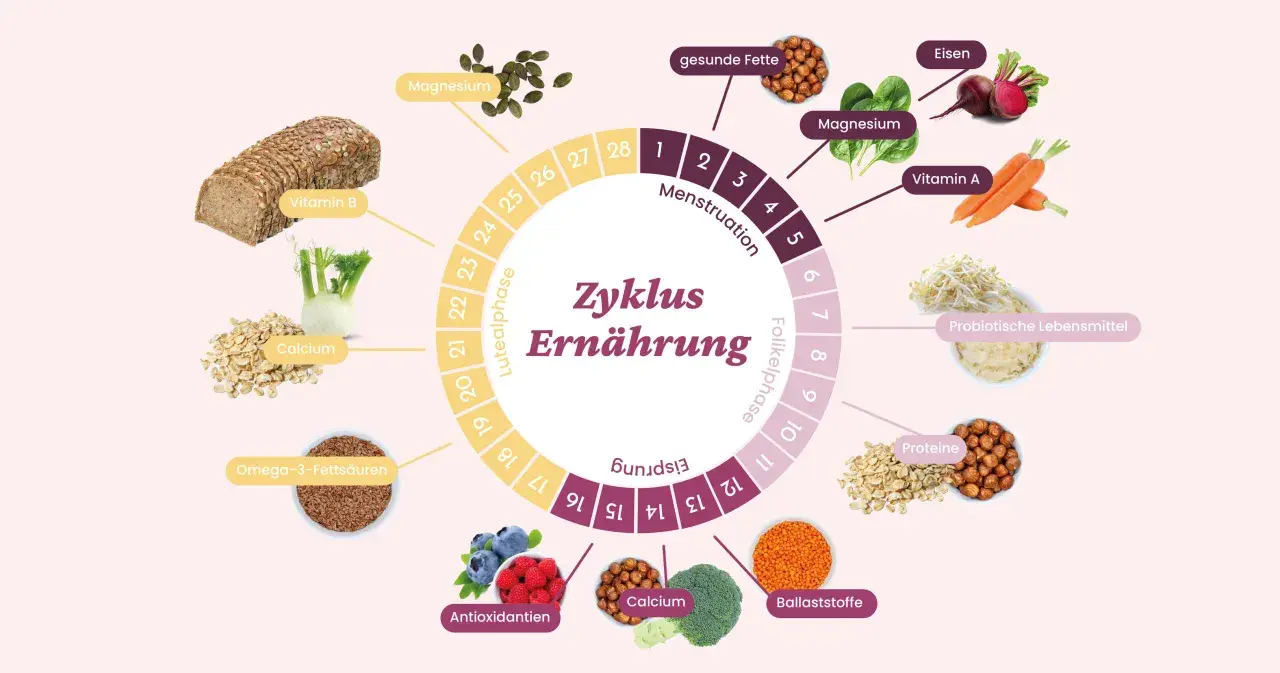 Der Zyklus der Ernährung zeigt, wie energiereiches Essen wie Vollkornbrot, Beeren und Nüsse den weiblichen Zyklus unterstützt.