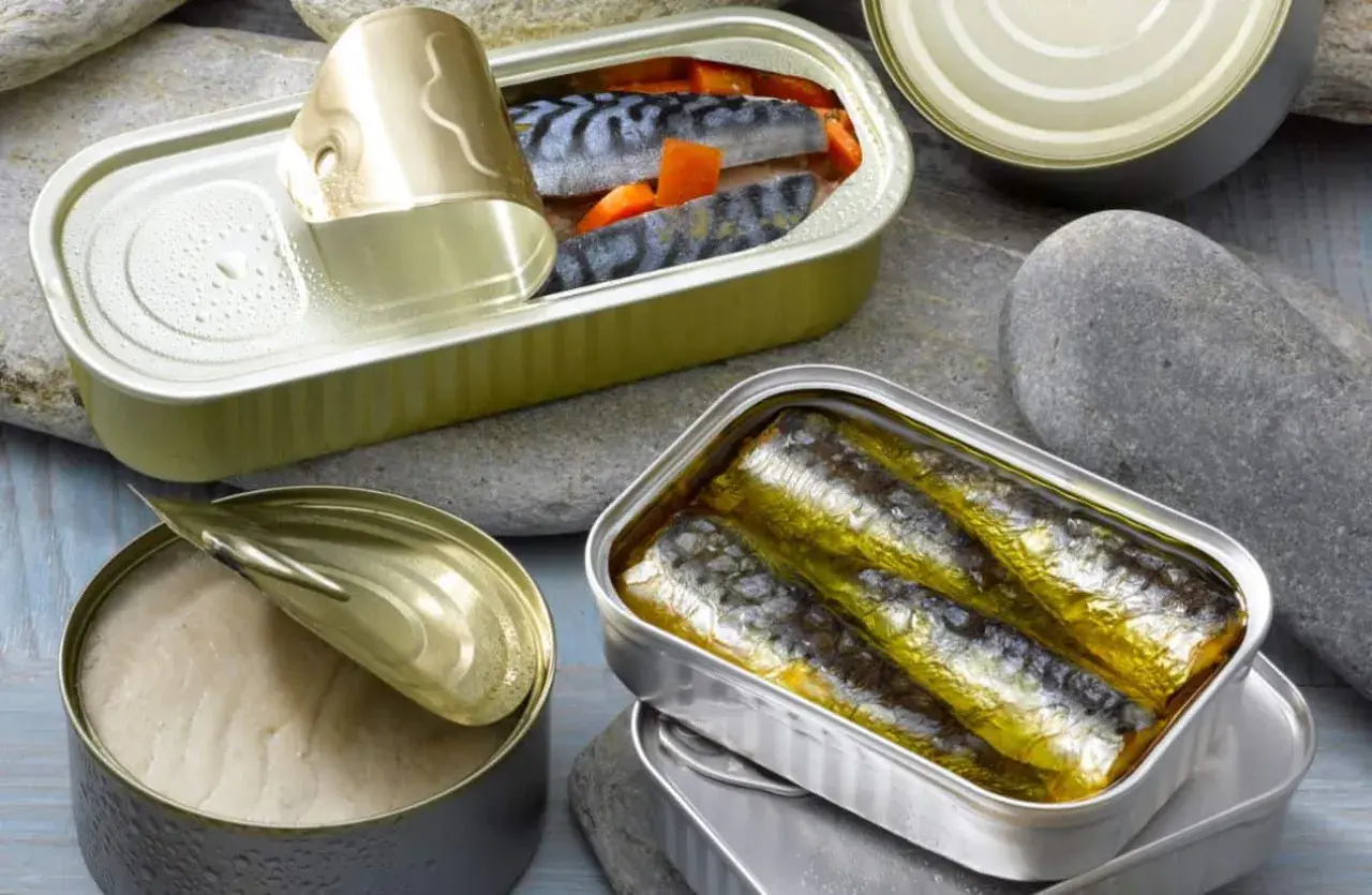 Boîtes de sardines ouvertes, riches en **sardine proteine**, sur des galets. Une conserve de poisson entier, une autre de filets dorés, et une troisième avec des morceaux de poisson et carottes.