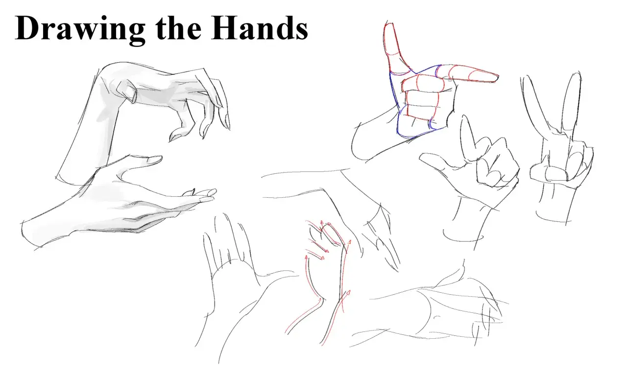 Sketches of hands in various poses, with some anatomical guides in red and blue, illustrating why are hands so hard to draw.