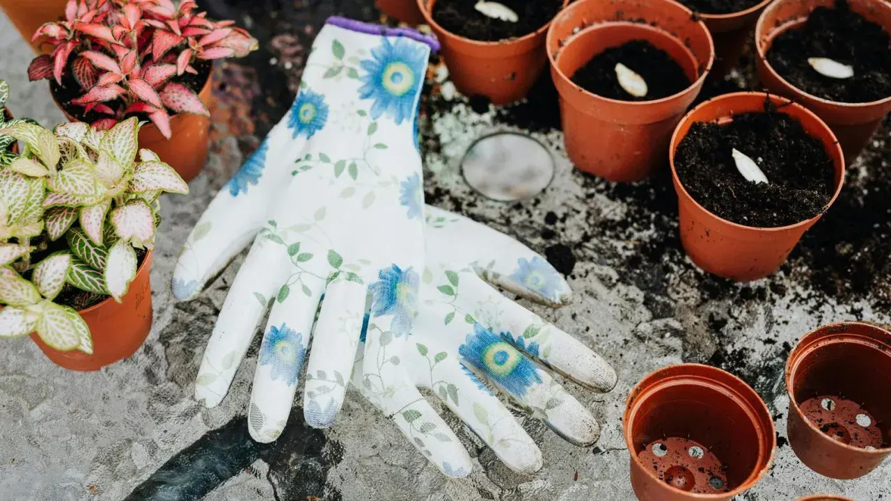 Blommiga handskar ligger bredvid krukor med jord och frön, redo för att odla på balkong. Små plantor väntar på att planteras.