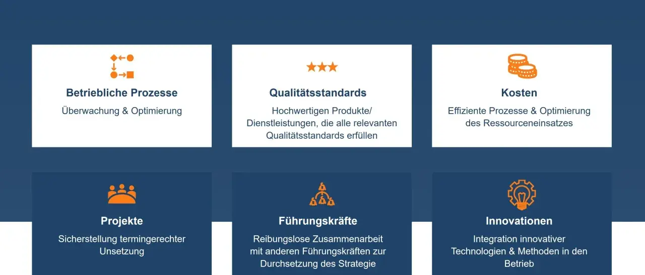 Grafik zeigt sechs Kacheln mit Icons und Texten zu Geschäftsprozessen, Qualitätsstandards, Kosten, Projekten, Führungskräften und Innovationen. Ein zentrales Element ist das leiter controlling.